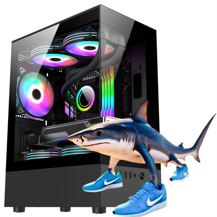 PC AMD ryzen 5 5500,RX 6600 ,16GB RAM,480GB SSD (tralalero tralala)