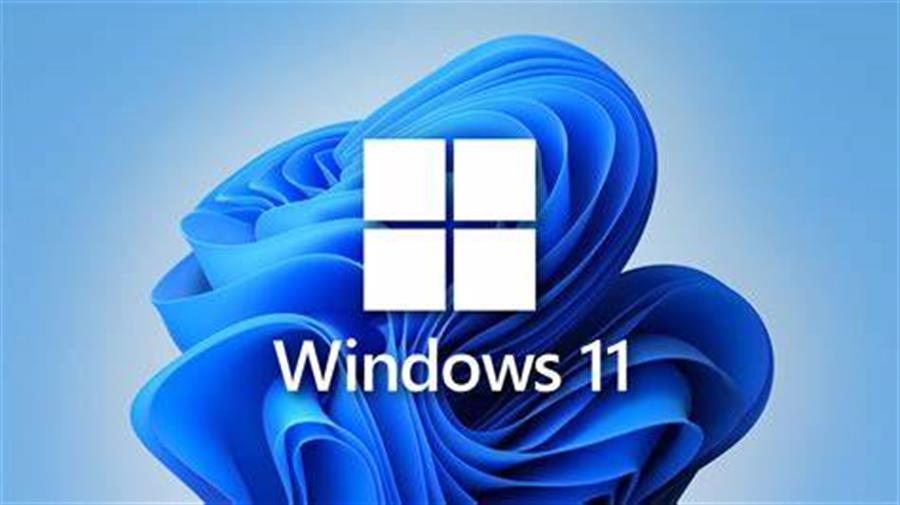 Windows 11 licencia (de uso único)